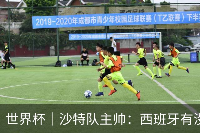世界杯｜沙特队主帅：西班牙有没有亚马尔是两支球队